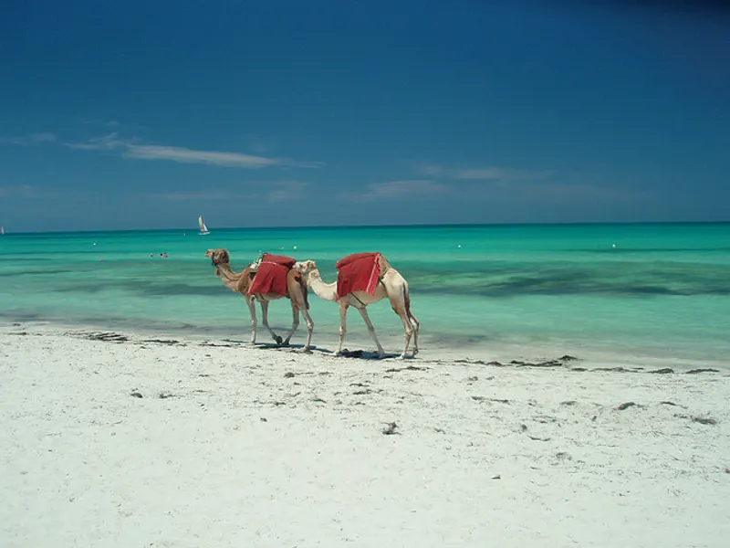 Les plages de la côte est — Djerba